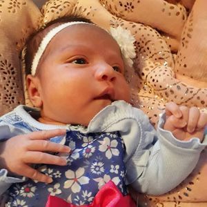 Meet your Posher, Flor